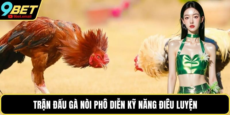 Trận đấu gà nòi phô diễn kỹ năng điêu luyện